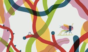 img Fernandez Vicente Joan