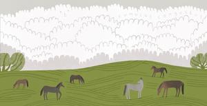 img Kamphuis Tjitske