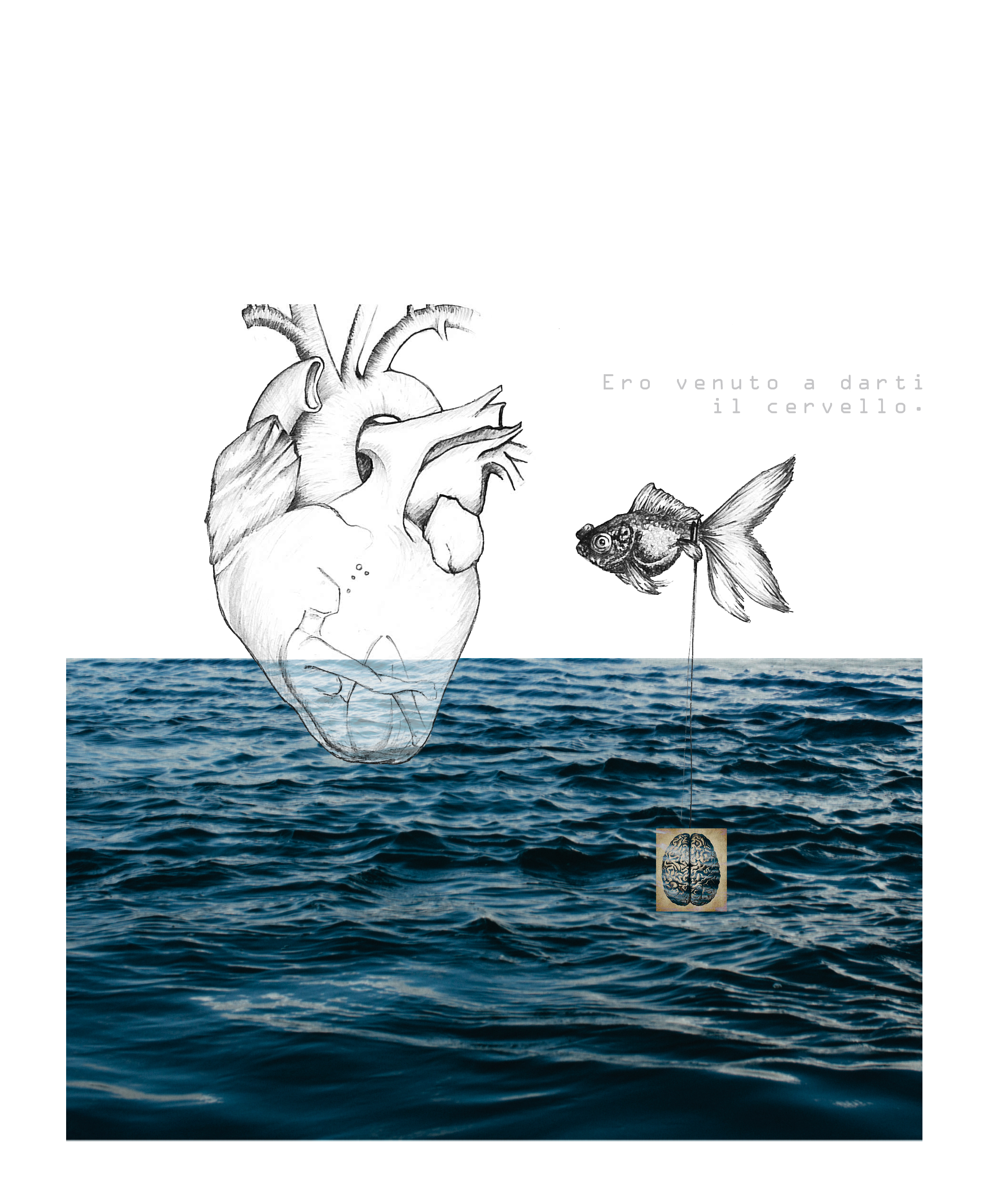 img preview chiara trivellato trivellato