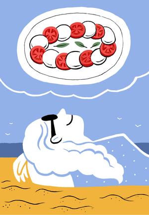 img Francesca Springolo