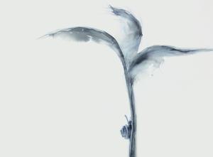 img Uchiko Shimomura