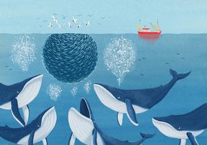 img Miriam Latimer