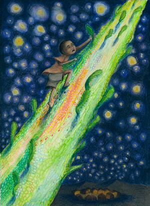 img Lauren Saunders illustration