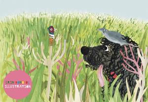 img Illustrator