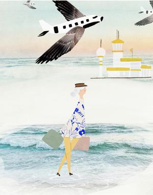 img Illustrator