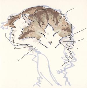 img Illustrator