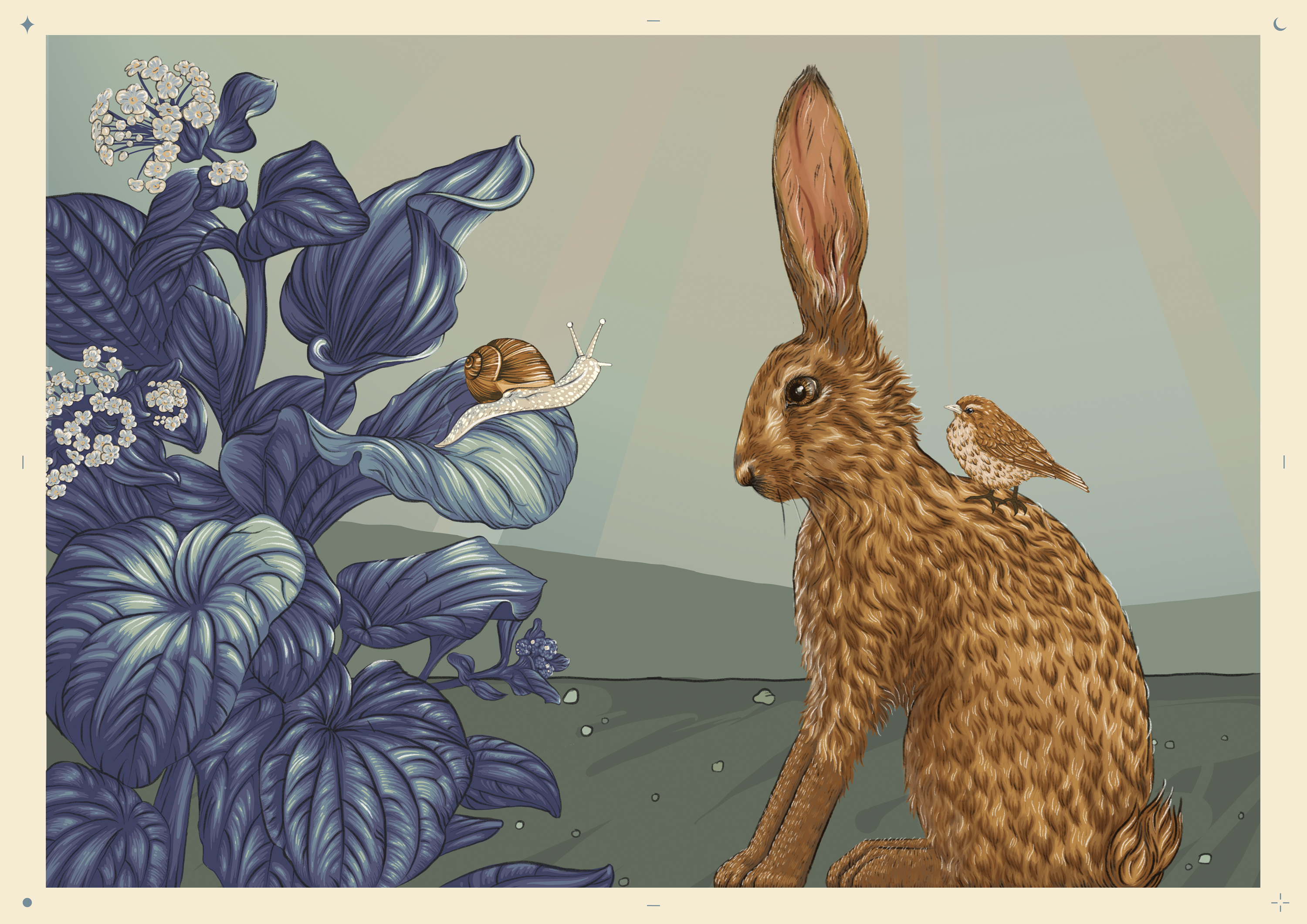 img preview Laura Shallcrass