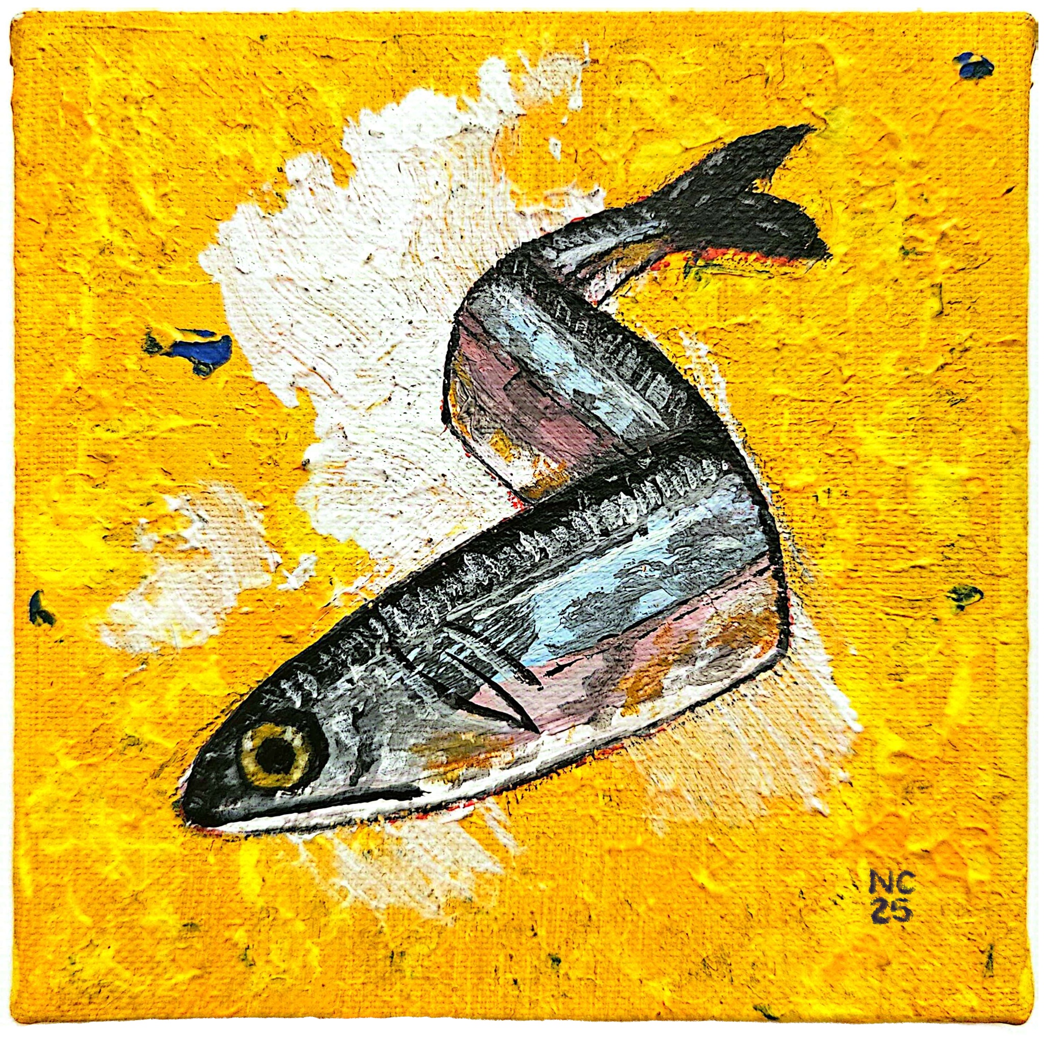 img preview nicolò capella