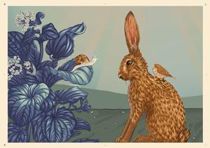 img Laura Shallcrass