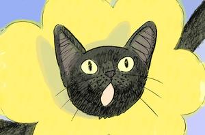 img starnyan