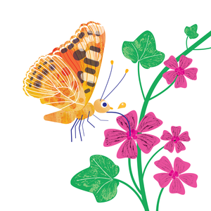 img Mary Hutchison