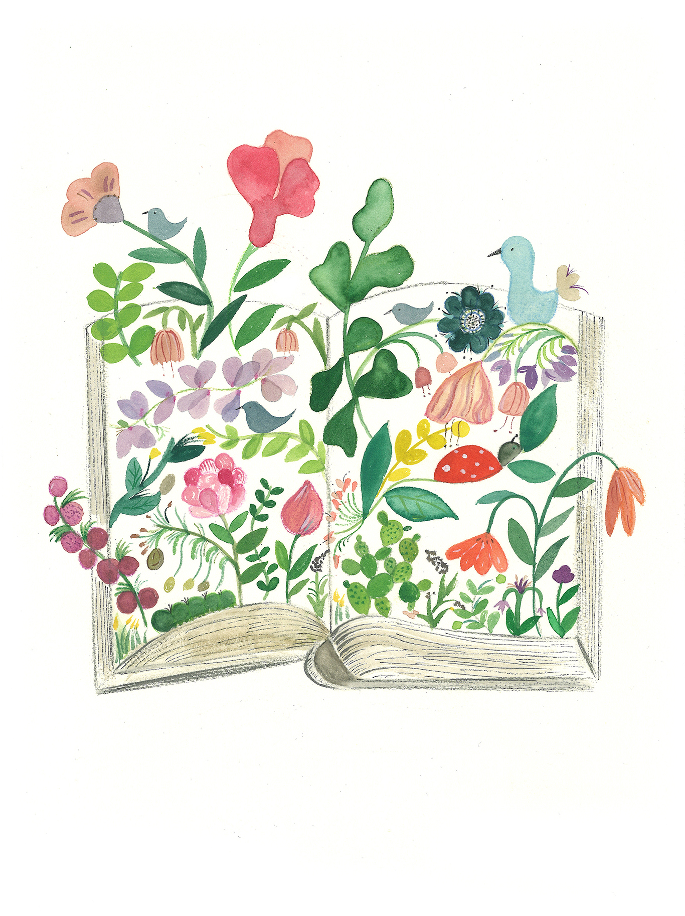 img MARTINA CATENACCI