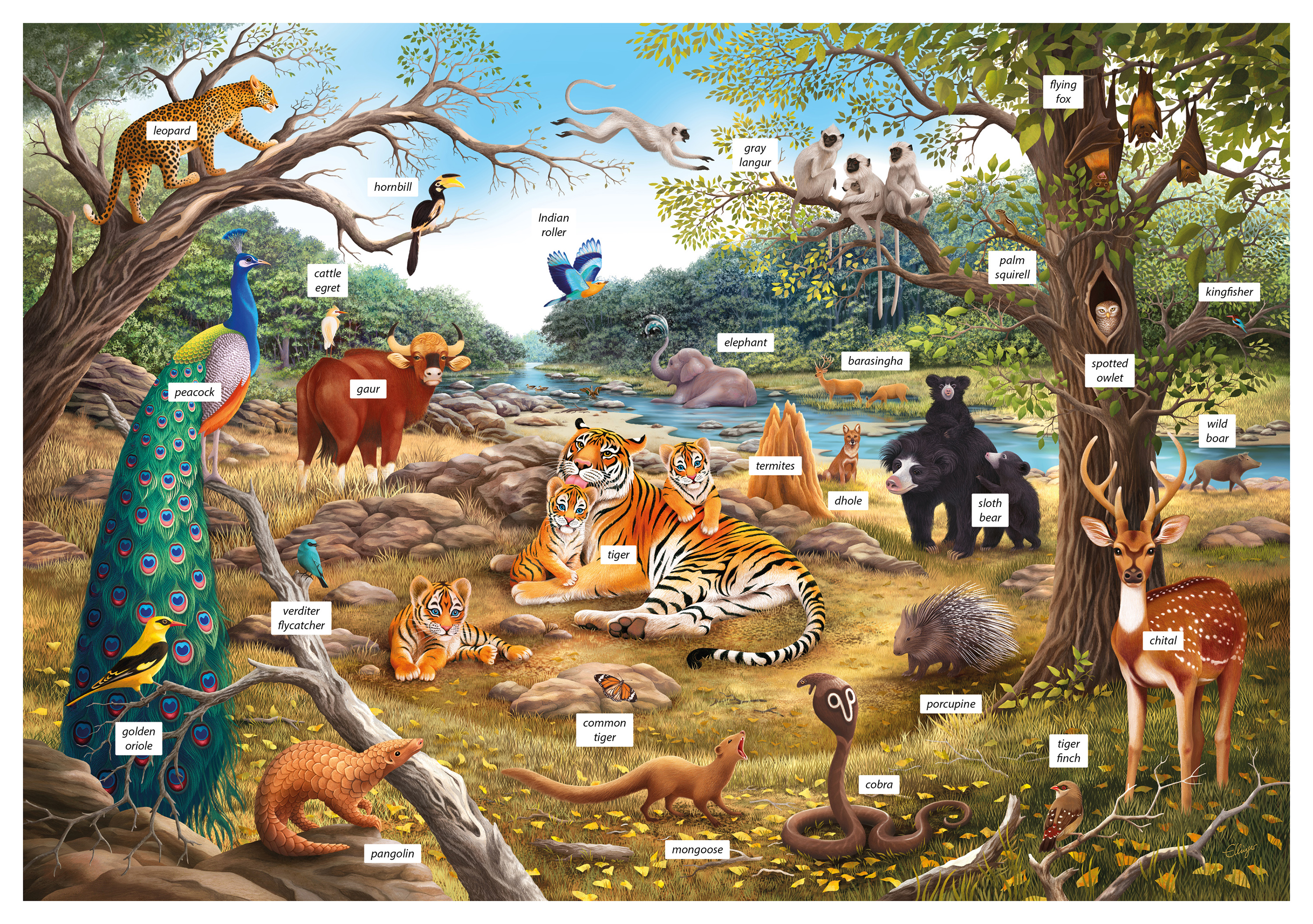 img preview Cornelia Ellinger