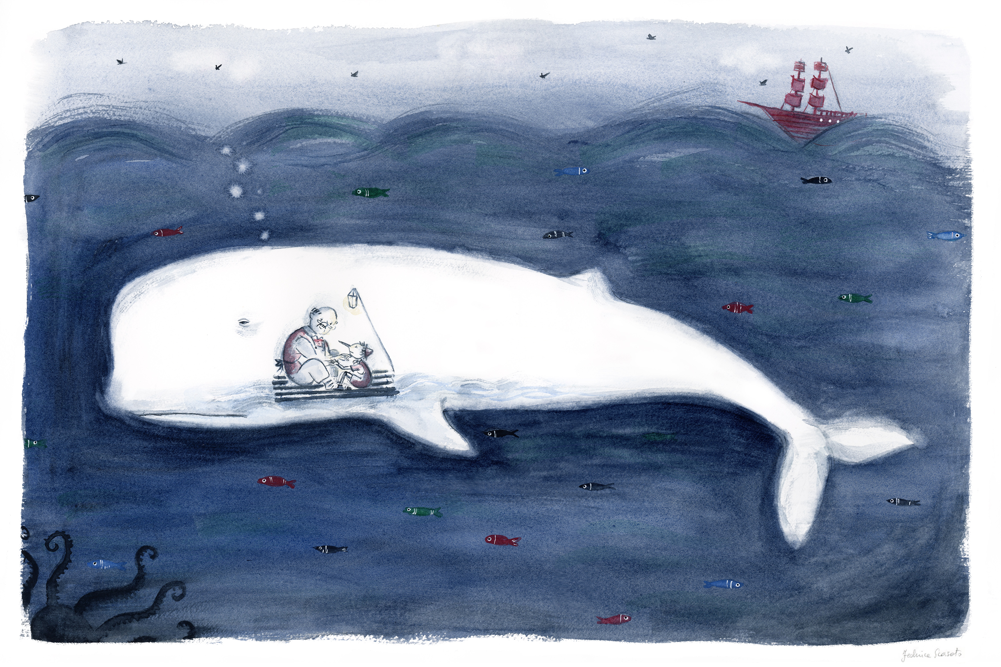 img Federica Scarsato