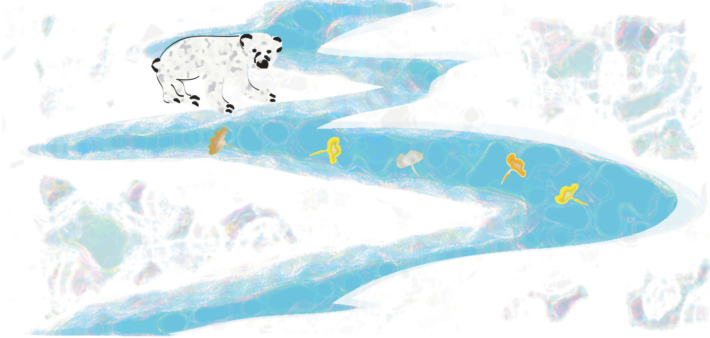 img Isabella Capriulo