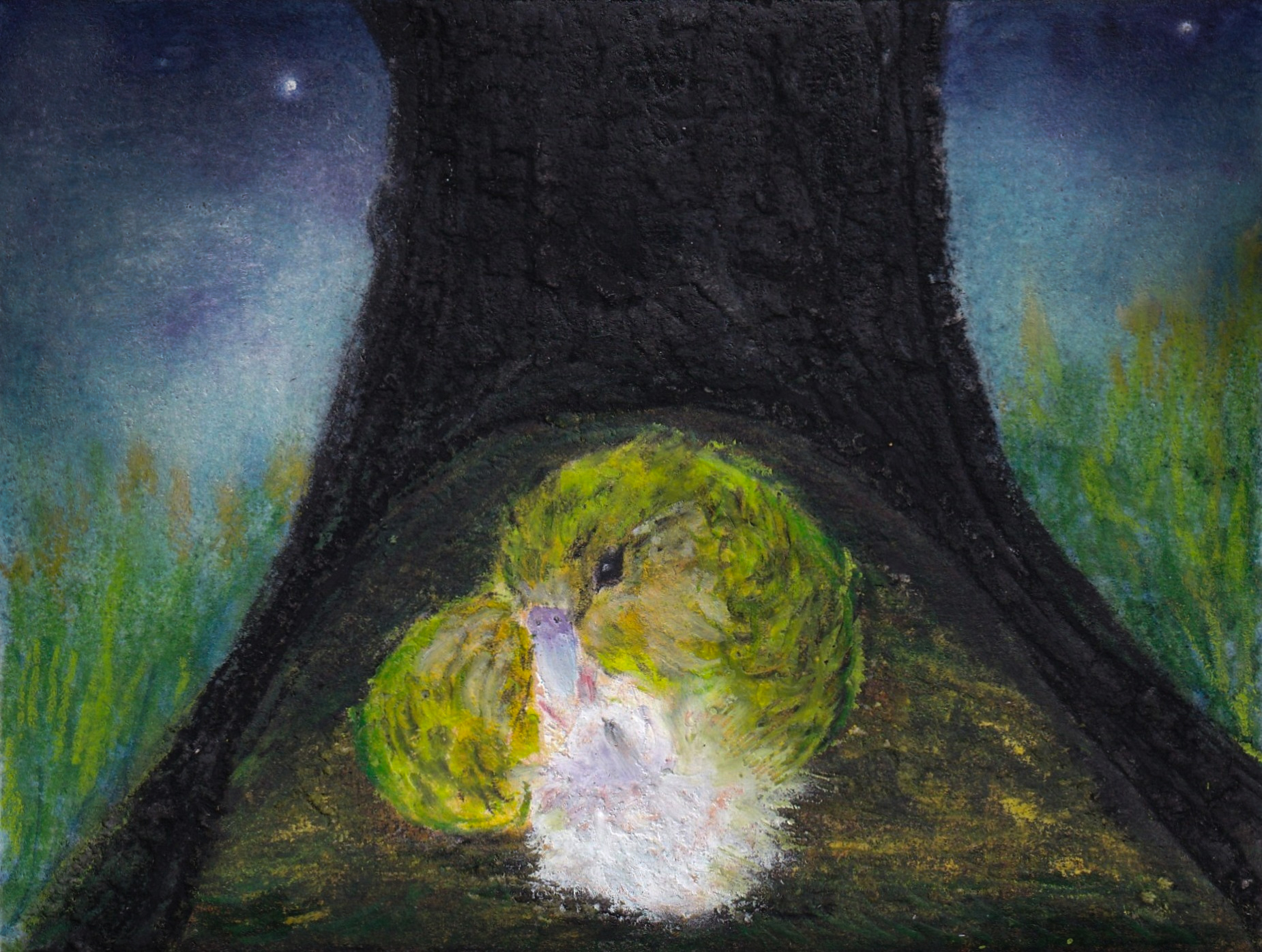 img Svetlana  Kotova Carevskaja